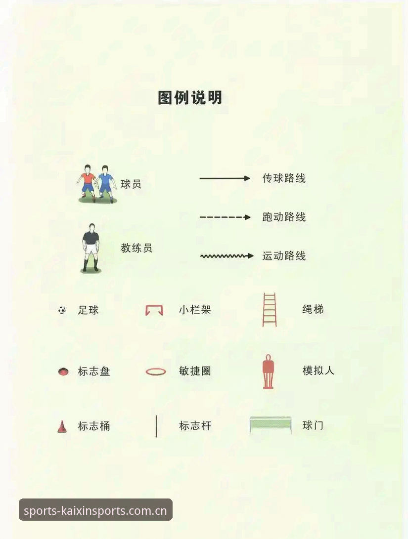 老用户分享：开心体育玩法全攻略，新手也能快速上手