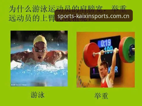 开心体育安卓版实用指南：从下载安装到深度使用的完整操作手册